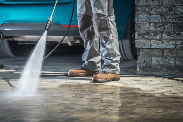 Best Pre-Holiday Cleaning  in Fennville, MI